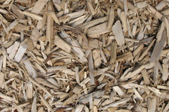 biomass boilers Listullycurran